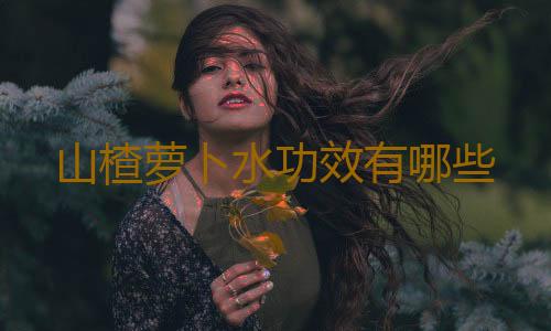 山楂萝卜水功效有哪些