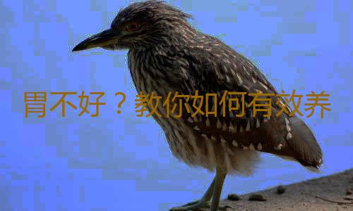 胃不好？教你如何有效养胃